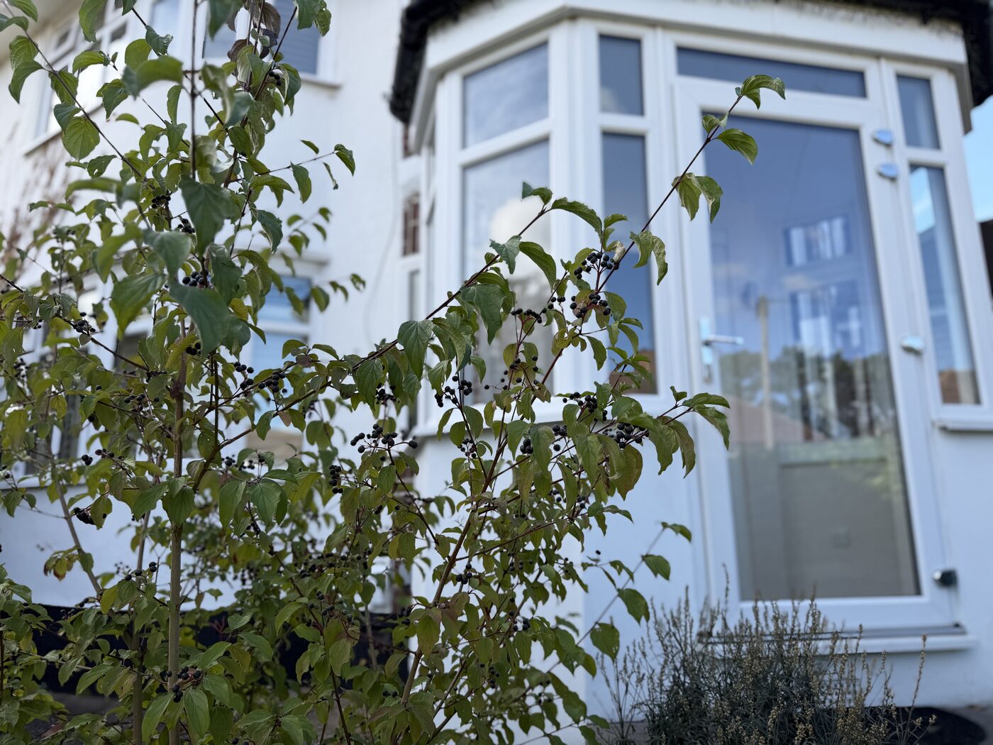 Short-let property interior in Stratford